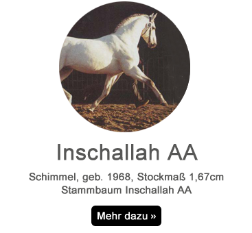 Inschallah