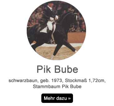 Pik-bube