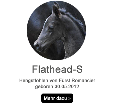 flathead